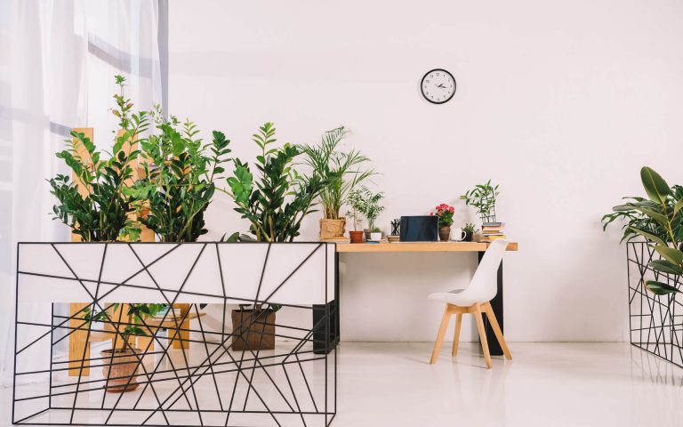 interior-of-business-office-with-green-potted-plan-2021-08-30-19-34-03-utc.jpg